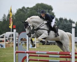 broodmare Netra (German Sport Horse, 2011, from Cellestino)