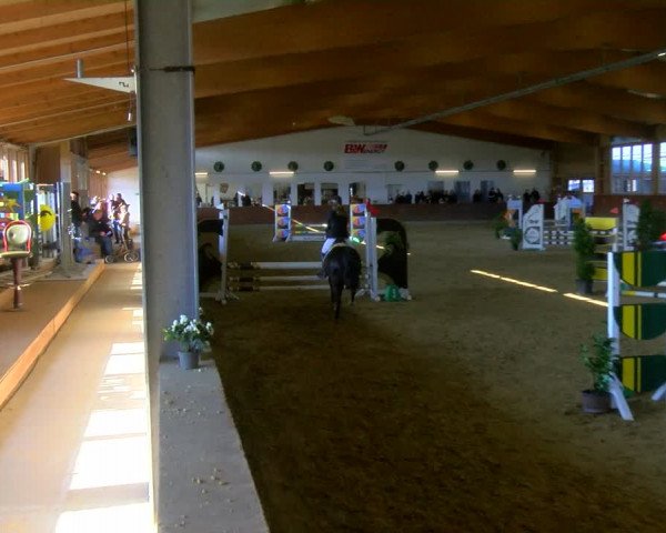 Reitturnier Coesfeld-Lette 2024