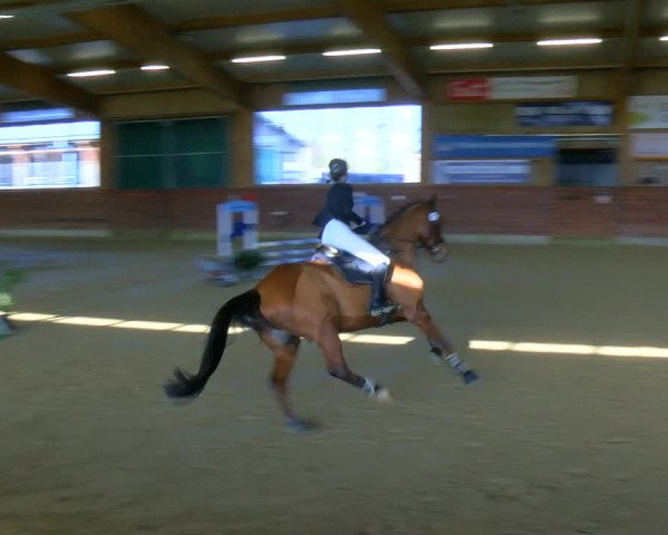 Reitturnier Coesfeld-Lette 2024