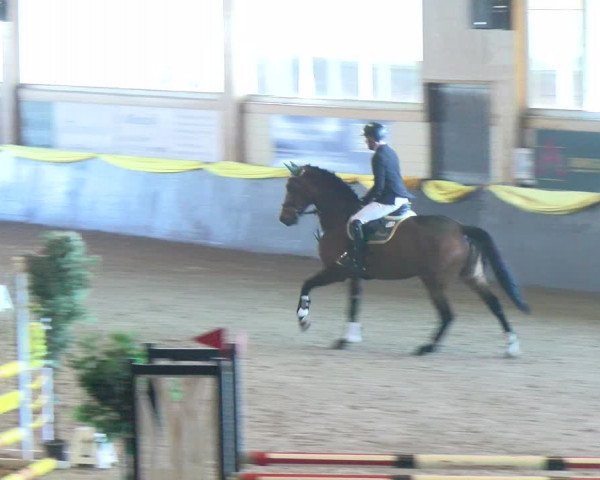 Reitturnier Sauldorf-Boll 2024