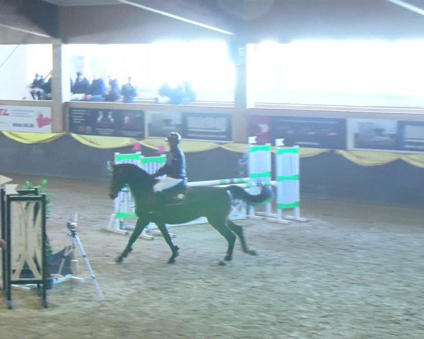 Reitturnier Sauldorf-Boll 2024