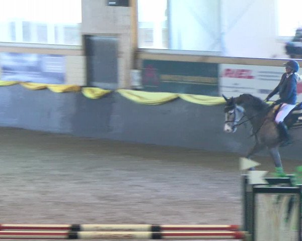 Reitturnier Sauldorf-Boll 2024