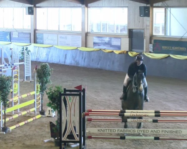 Reitturnier Sauldorf-Boll 2024