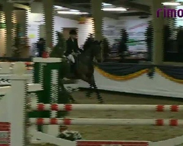 Vreden 2011