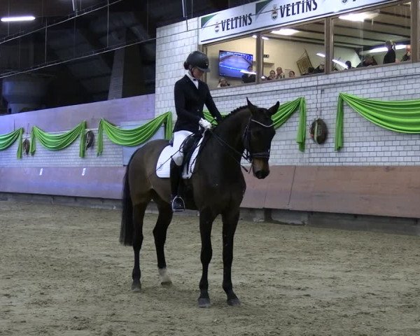 Reitturnier Hellefeld 2024