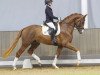 dressage horse Zensation (Westphalian, 2021, from Zoom 8)