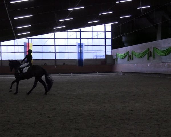 Reitturnier Hellefeld 2024