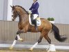 dressage horse Zaubertraum (Westphalian, 2020, from Zoom 8)