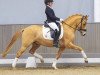 dressage horse Der kleine Donner 8 (German Riding Pony, 2019, from Dating At NRW)