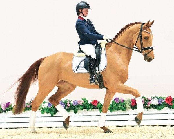dressage horse Eminent (Oldenburg, 2020, from Erdinger)