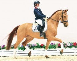 dressage horse Eminent (Oldenburg, 2020, from Erdinger)