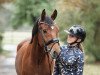 dressage horse Dream Bentley (German Riding Pony, 2019, from Dreidimensional AT NRW)