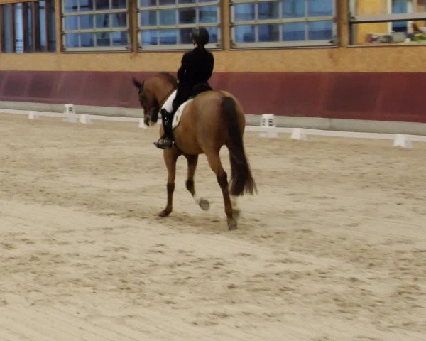 Reitturnier Balingen 2024