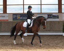 dressage horse Lia-Lavinia (Bavarian, 2007, from Locksley III)