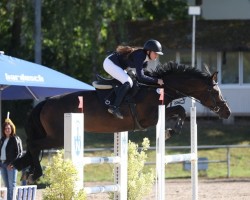 jumper Icamorine-Buitenhuis (KWPN (Royal Dutch Sporthorse), 2013, from Vittorio)