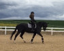 jumper Viana 11 (Hanoverian, 2015, from Viscount 22)