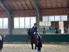 dressage horse Bonito He (Oldenburg, 2011, from Bon'A Parte)