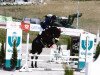 jumper Cornelio 2 (Holsteiner, 2017, from Cornet De Lux)