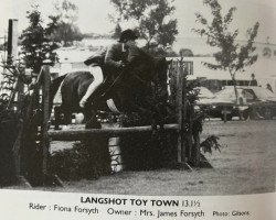 Pferd Langshot Toy Town (Welsh Pony (Sek.B), 1983, von Gunthwaite Briar)