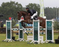 Pferd Pink Floyd van het Reuhof (Belgisches Warmblut, 2015, von Thunder van de Zuuthoeve)