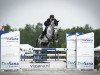 Springpferd Hufido White (Deutsches Sportpferd, 2017, von Hickstead White)