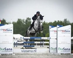 jumper Hufido White (German Sport Horse, 2017, from Hickstead White)