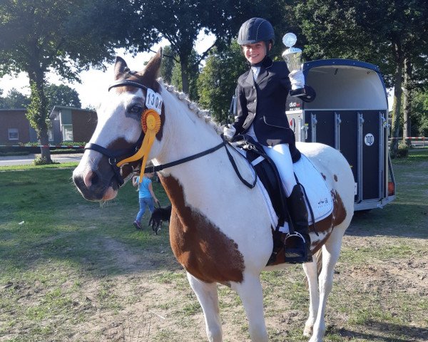 dressage horse Luziano Giotto (Lewitzer, 2008)