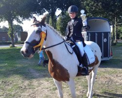 dressage horse Giotto (Lewitzer, 2008, from Lestard)