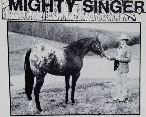 stallion Mighty Singer (Appaloosa, 1979, from Mighty Tim)