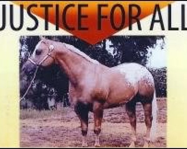 Deckhengst Justice For All (Appaloosa, 1986, von Cowboy Justice)