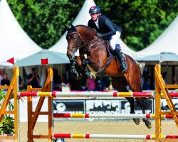 stallion Diamant de Plaisir II (Hanoverian, 2017, from Diamant de Semilly)