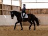 dressage horse Don de la Vega 5 (German Sport Horse, 2003, from Rutowski)