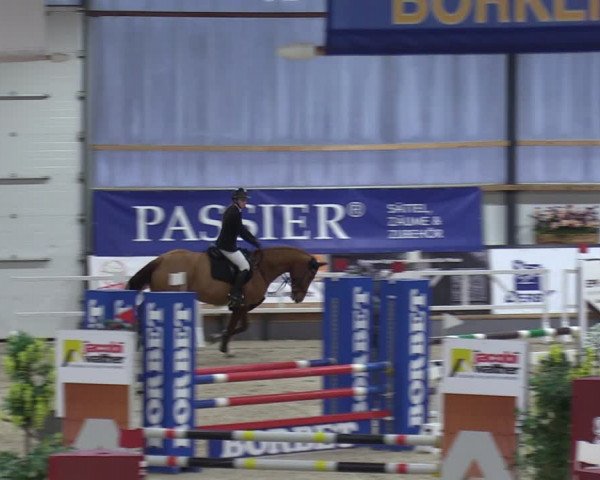 Reitturnier Borken 2024
