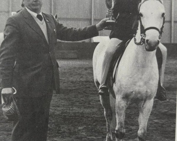 Pferd Chirk Meredith (Welsh Pony (Sek.B), 1969, von Chirk Caradoc)