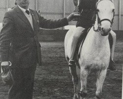 horse Chirk Meredith (Welsh-Pony (Section B), 1969, from Chirk Caradoc)