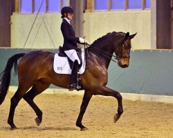 dressage horse Belcanto 55 (German Sport Horse, 2017, from Bailando)