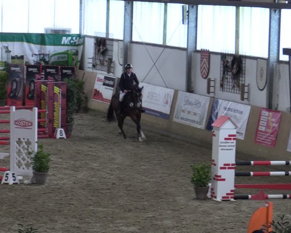 Reitturnier Borgholzhausen-Westbarthausen 2024