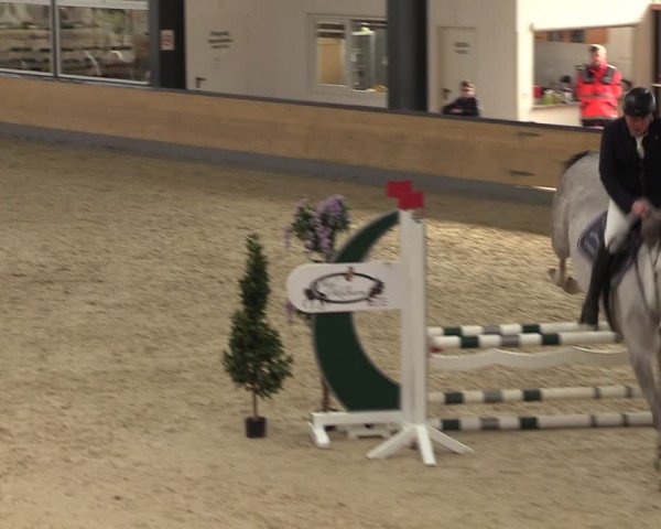 Reitturnier Borken 2024