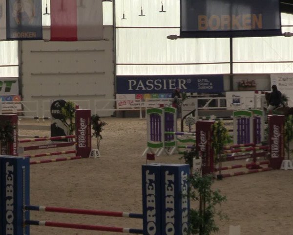 Reitturnier Borken 2024