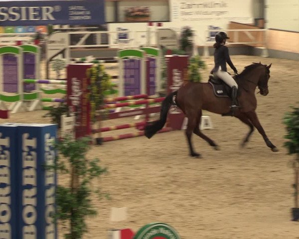 Reitturnier Borken 2024