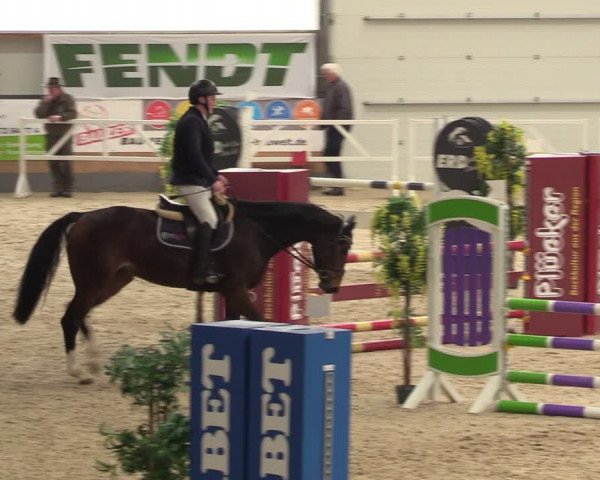 Reitturnier Borken 2024