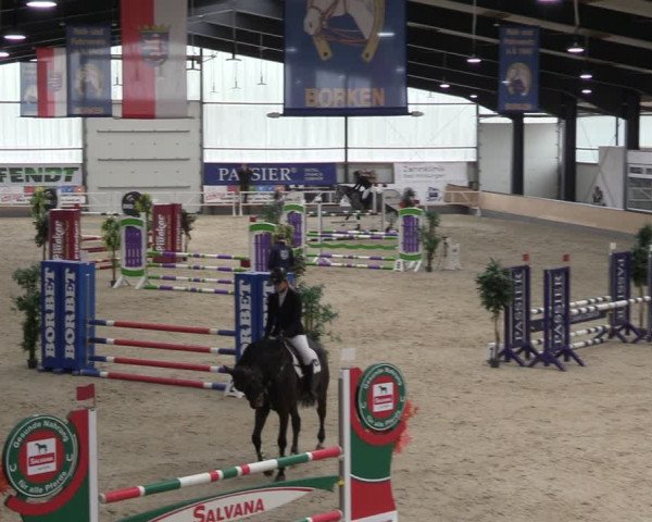 Reitturnier Borken 2024