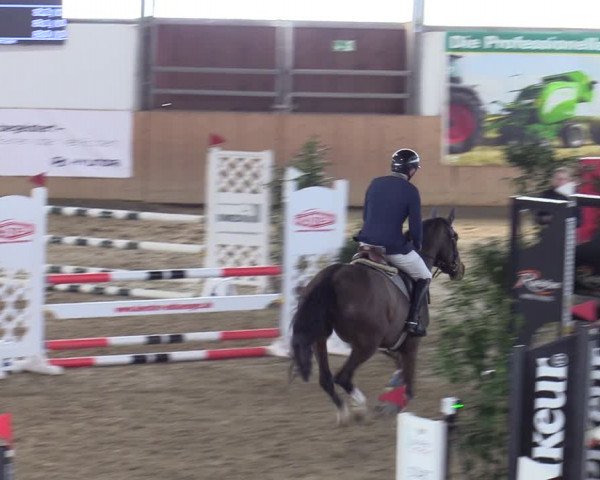 Reitturnier Borgholzhausen-Westbarthausen 2024