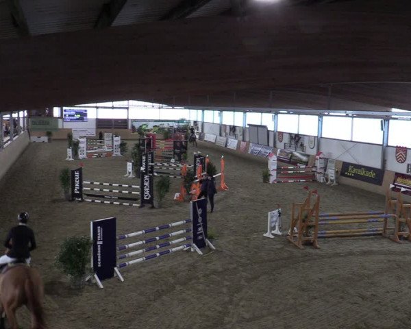 Reitturnier Borgholzhausen-Westbarthausen 2024