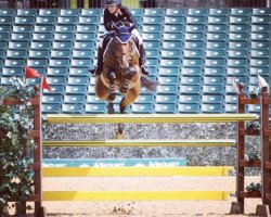 jumper Fidalgo van het Leliehof (Belgian Warmblood, 2004, from Nonstop)