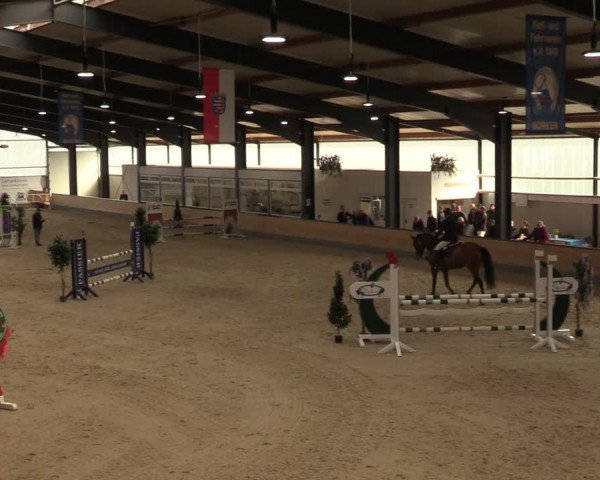 Reitturnier Borken 2024