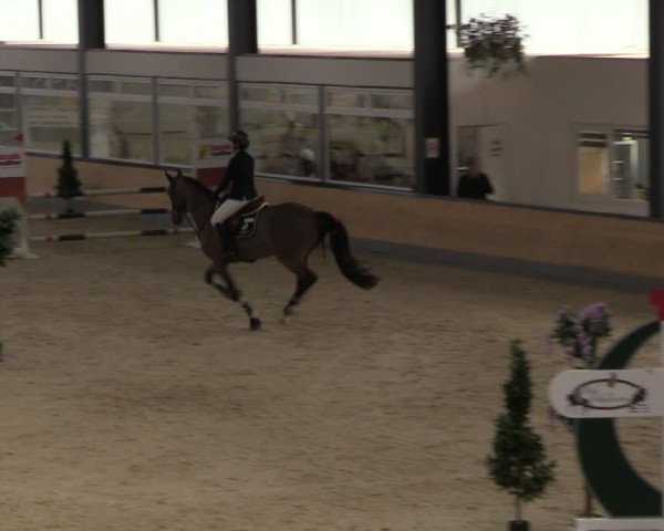 Reitturnier Borken 2024