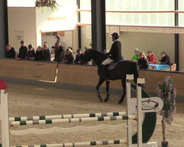 Reitturnier Borken 2024