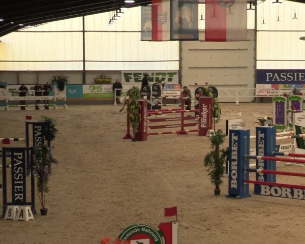 Reitturnier Borken 2024