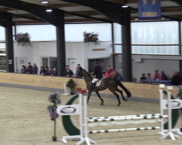 Reitturnier Borken 2024